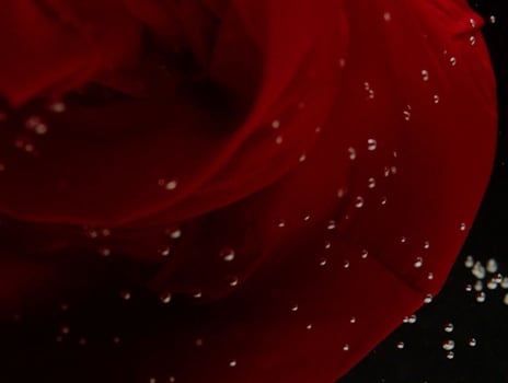 Les Lave-Linge Séchants